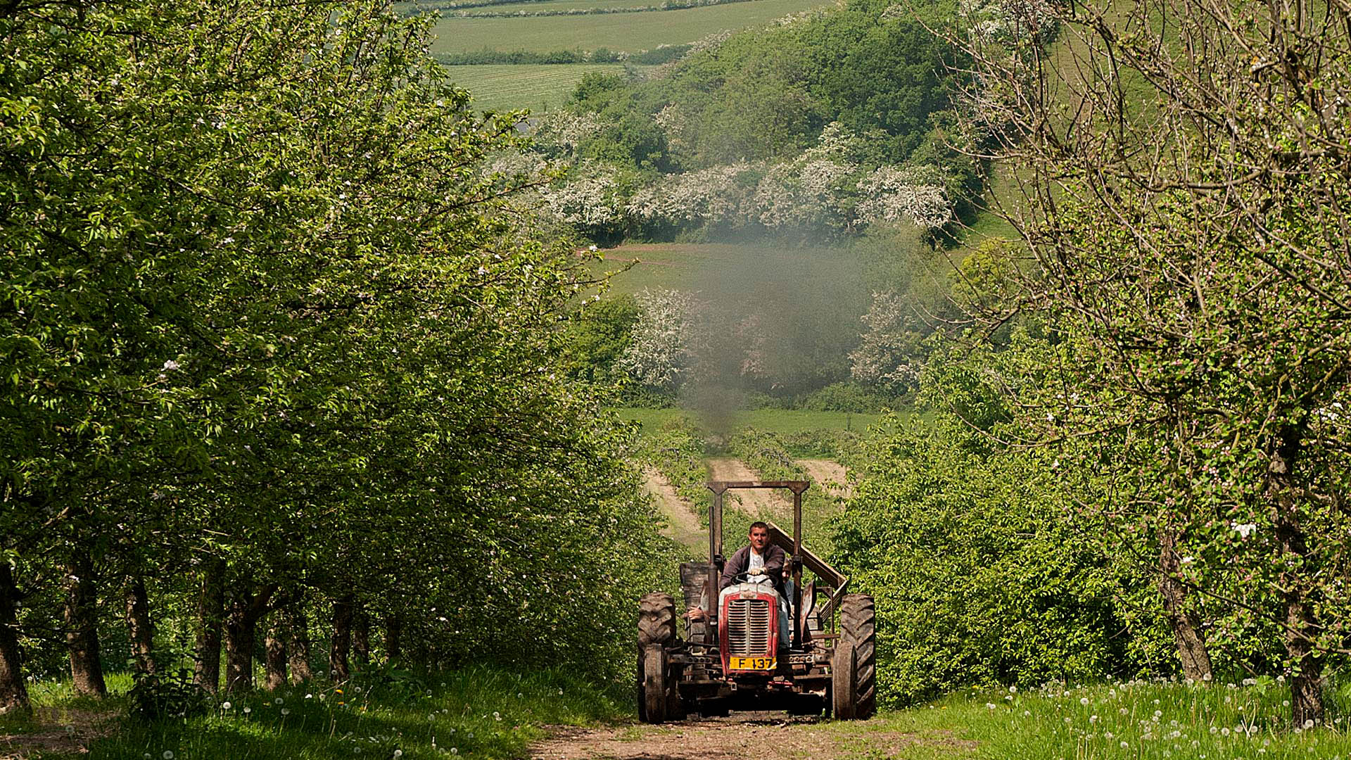 Worcestershire Vale Famous For Its Orchards