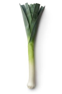 Leek